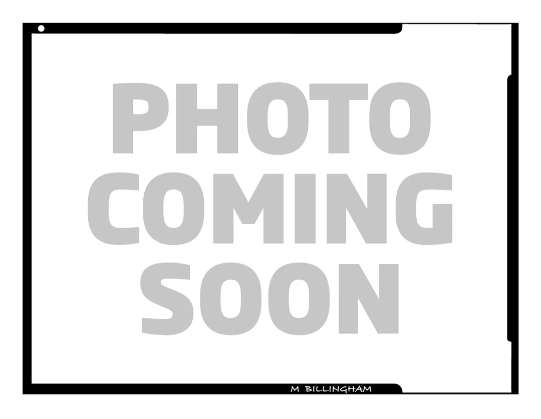 Hadley Large Padded Insert - Image 7